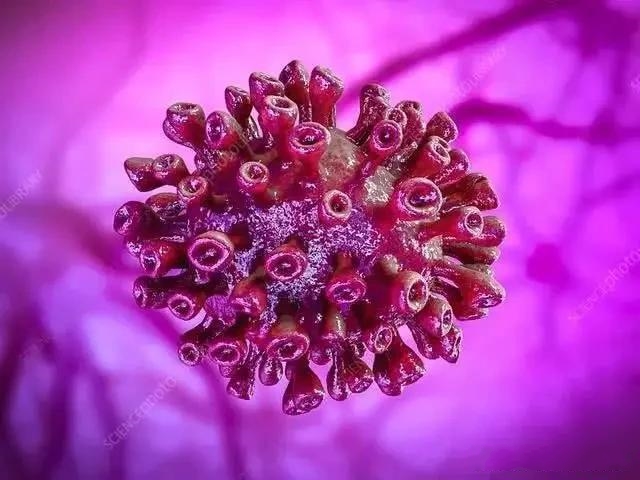 ػů¹ڲΕrʧҵf