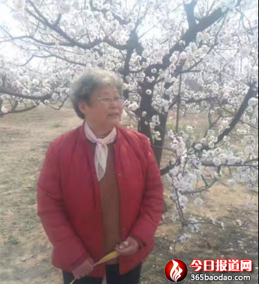 測量工,神州大地引回聲1278.png