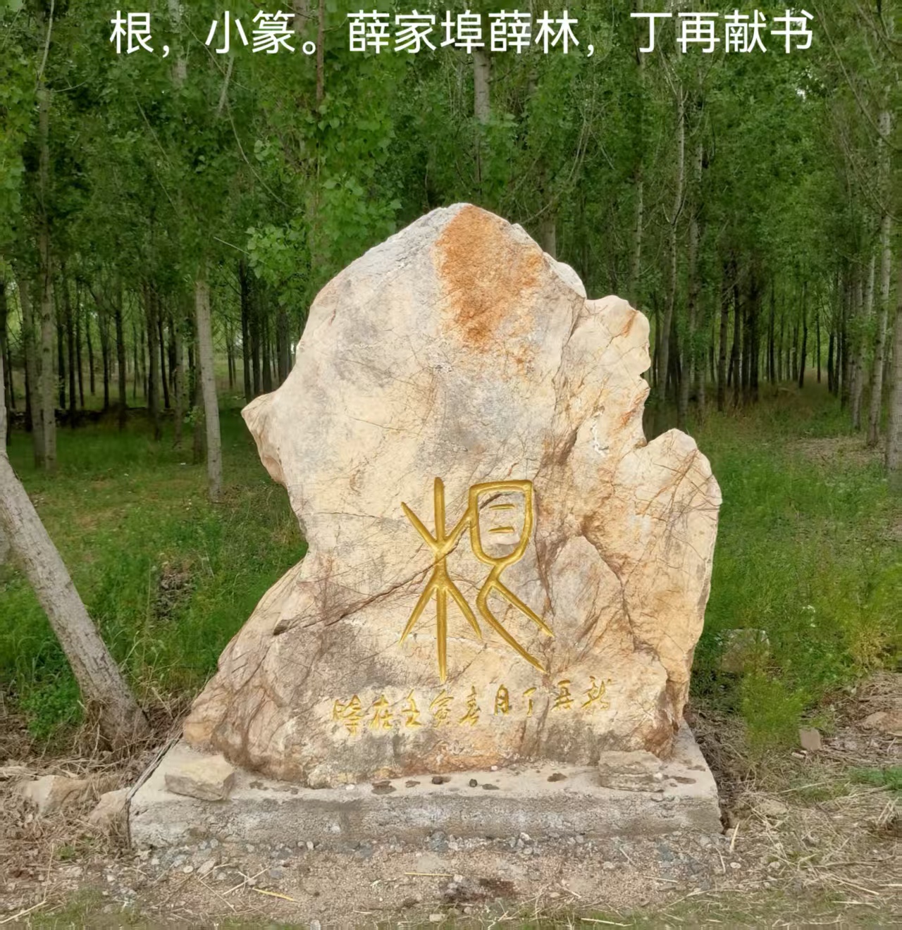 ΢ňDƬ_20250611081745.jpg
