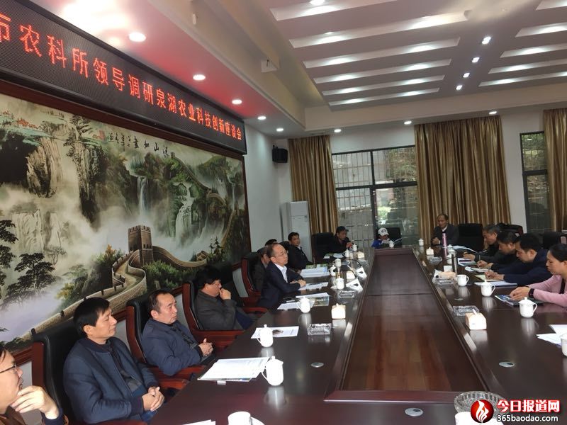 市農科所領導調研泉湖農業科技創新座談會.jpg